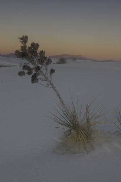 E-mail White Sands 1