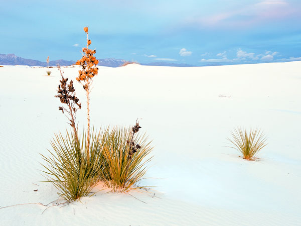 WhiteSands49x12color