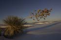 E-mail White Sands 2