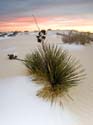 WhiteSands69x12color