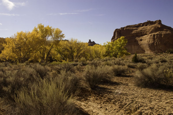 Canyonlands9