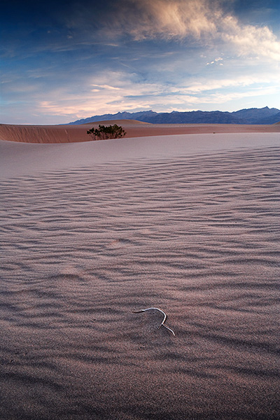 Sunrise on the Dune Sea