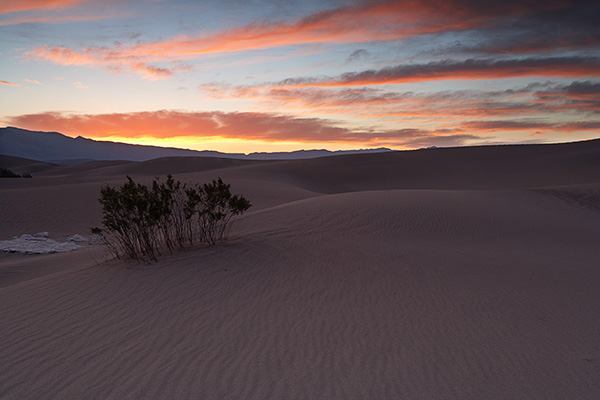 Sunrise on the Dunes