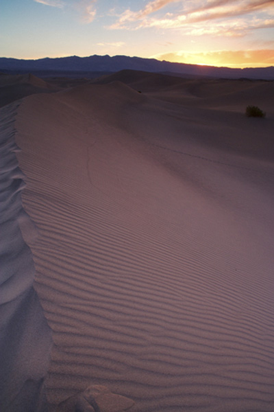 _Dunes_Sunrise