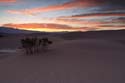 Sunrise on the Dunes