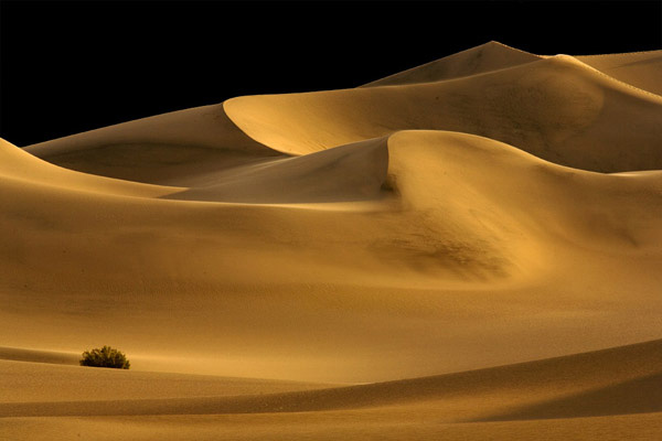 Black Dunes