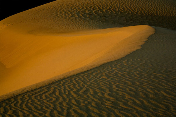 Morning Dunes 