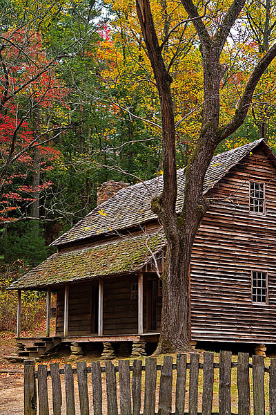 Tipton Cabin