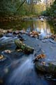 Cataloochee Creek