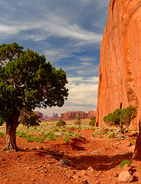 Monument View