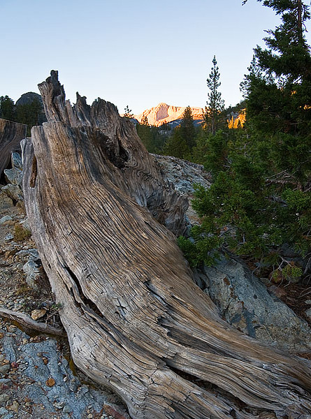 Mt. Conness Sunset an#10A28