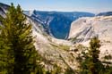  tree view- yosemite floor