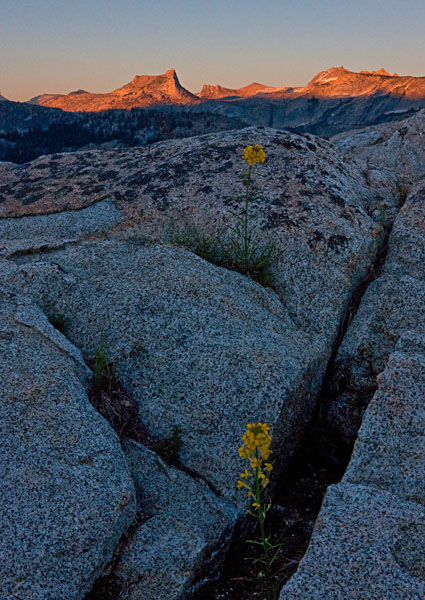 Cathedral Range Sunset#D38C