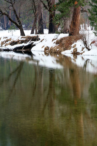 Wooded_Reflection