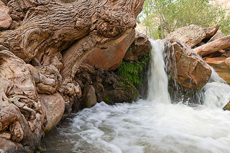 Upper Deer Creek Falls Detail